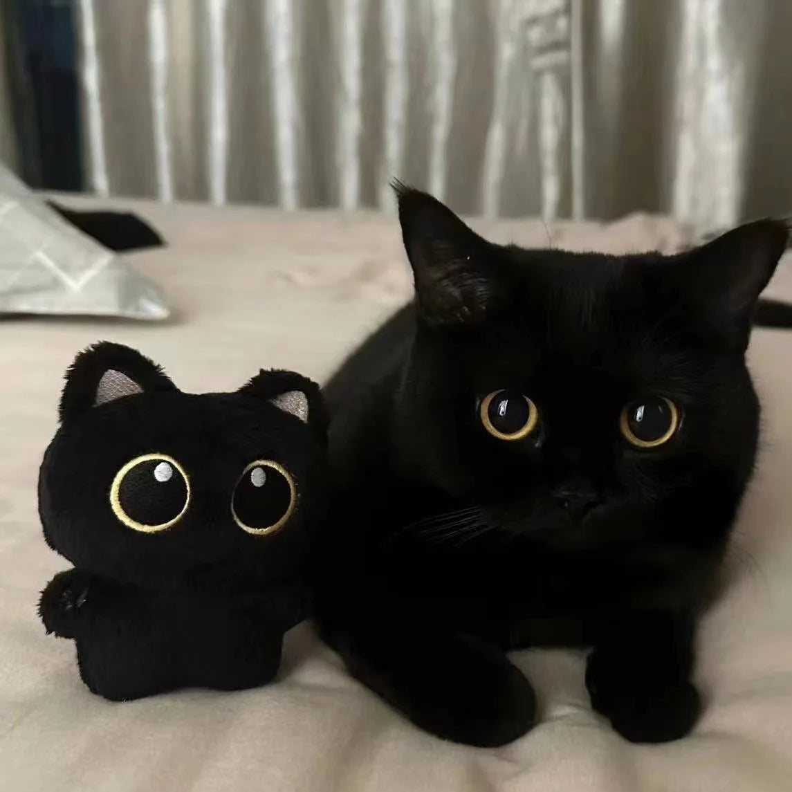 10cm Cute Black Cat Plush Doll